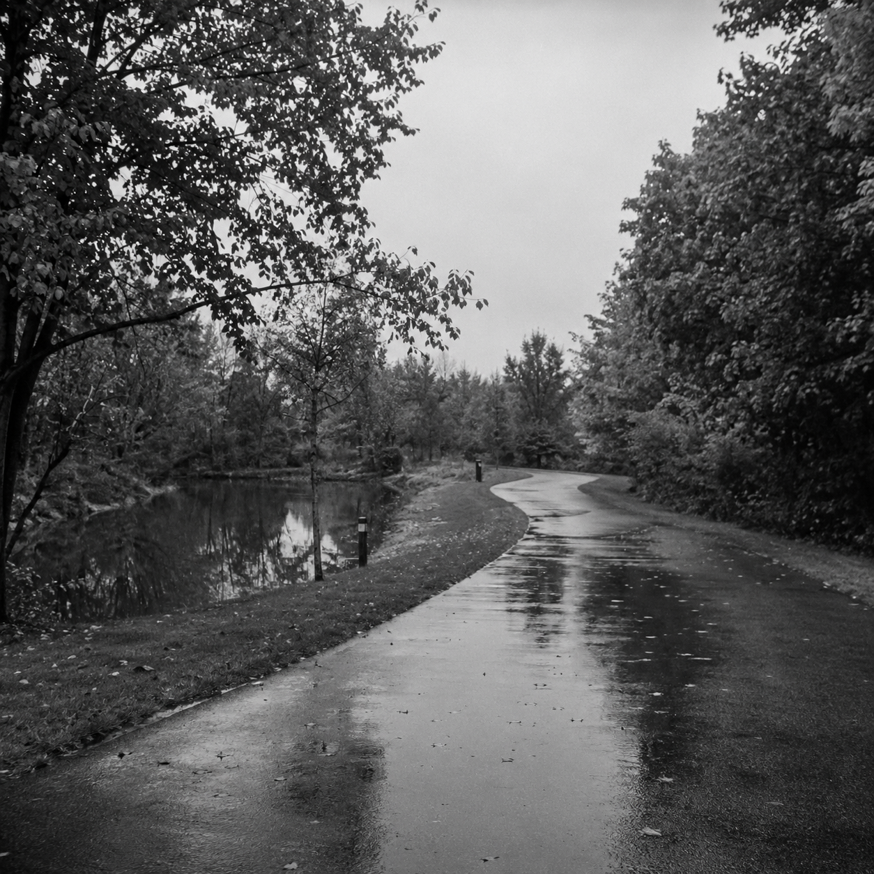 AI-generated image of a wet path